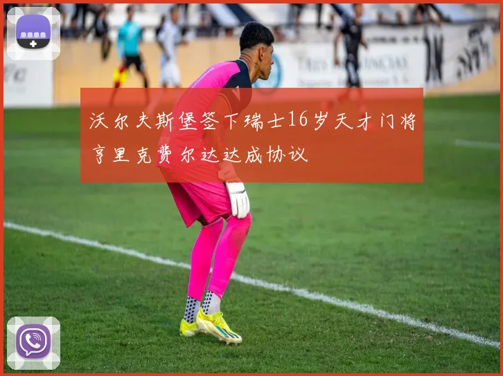 沃尔夫斯堡签下瑞士16岁天才门将亨里克费尔达达成协议